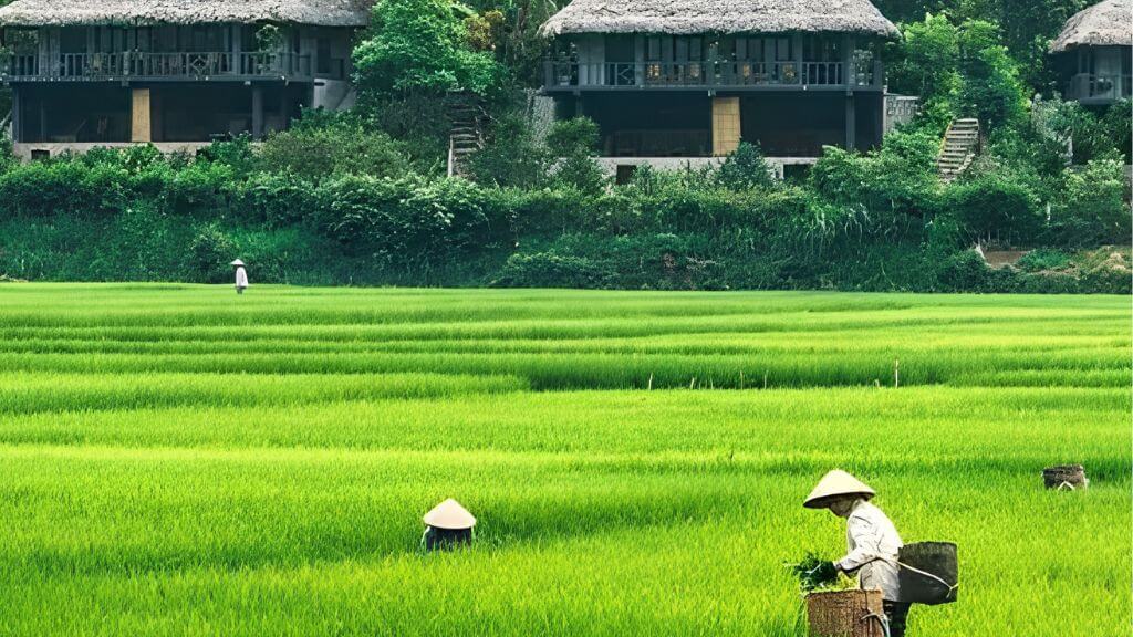 Bản Lác – nơi văn hóa và thiên nhiên hòa quyện
