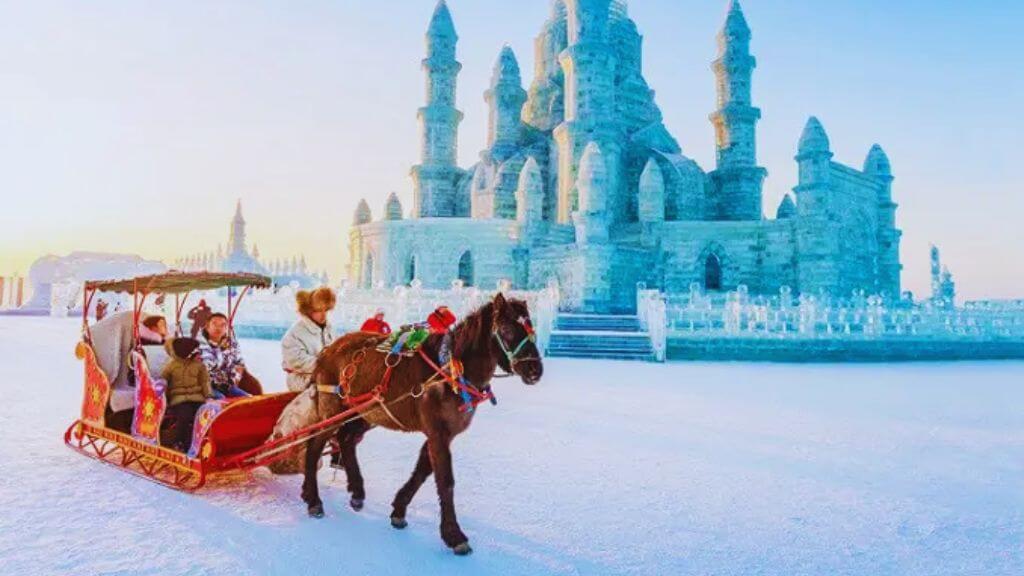 Trải nghiệm ngồi lên những chú ngựa kéo