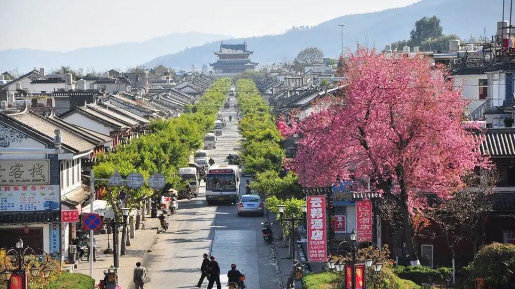 Vẻ Đẹp Của Lệ Giang