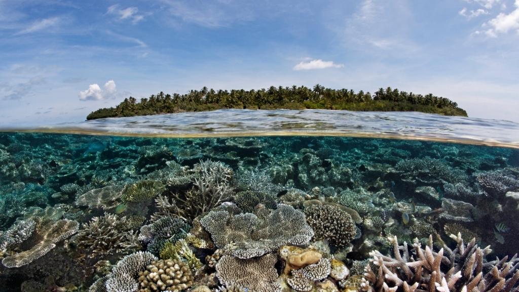 Du lịch Maldives khám phá các rặng san hô nhiều màu sắc