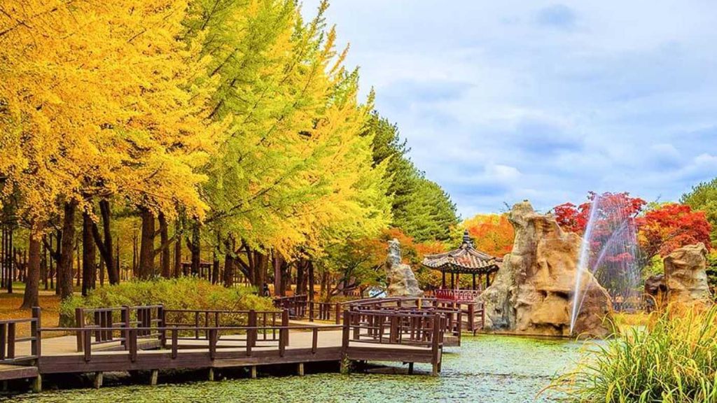 Đảo Nami đẹp rực rỡ với sắc lá vàng