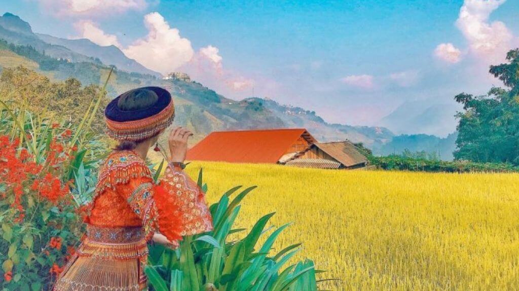 Du khách checkin tại Sapa màu lúa chín