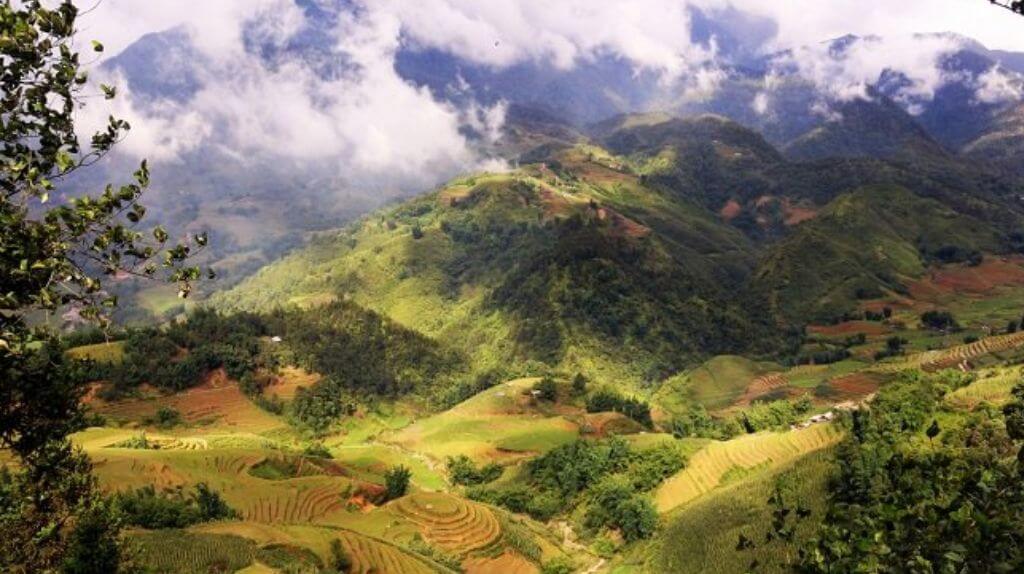 Núi Hàm Rồng mùa lúa chín
