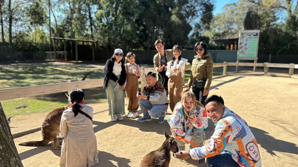 Du khách tự tay chăm sóc các bạn thú tại Sydney Zoo
