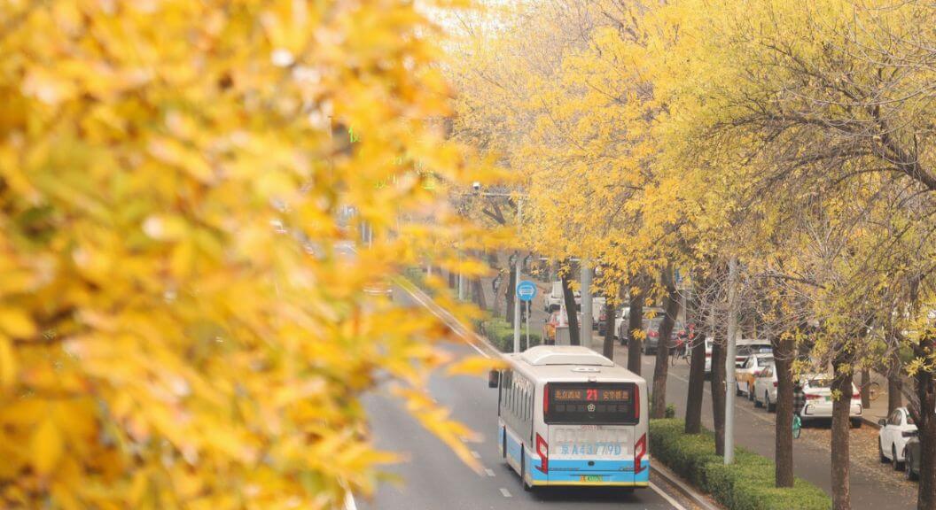 Tour Du Ngoạn Mùa Thu – Thượng Hải – Ô Trấn – Hàng Châu – Bắc Kinh 7N6Đ