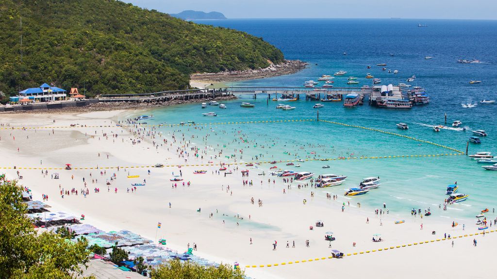 Đảo San Hô Koh Larn – Viên ngọc xanh giữa vịnh Thái Lan