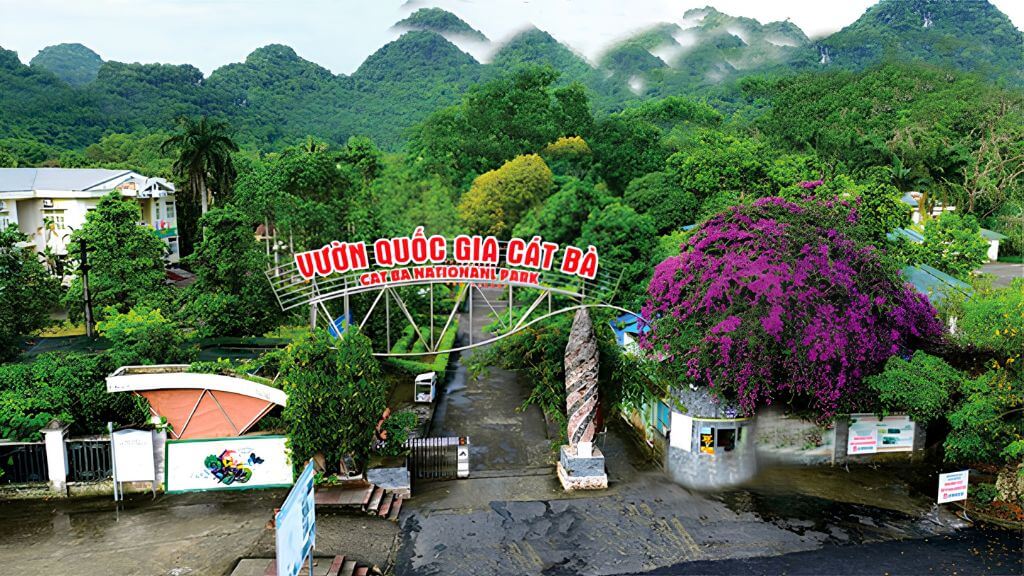 Vườn Quốc gia Cát Bà cuốn hút với thiên nhiên xanh mát và hoang sơ.