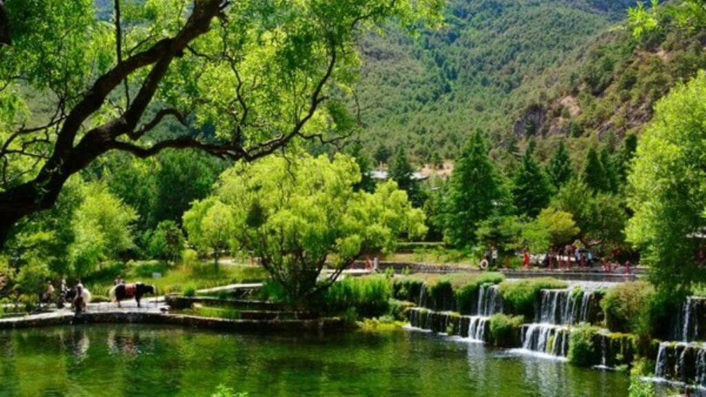 Ngọc Thủy Trại