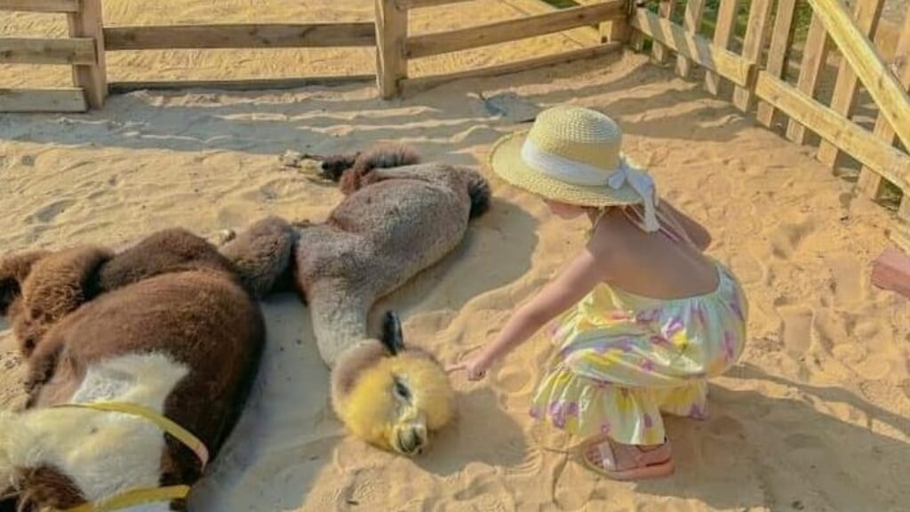 Hana Beach –Nơi mỗi khoảnh khắc trôi qua đều là một khoảng lặng bình yên giữa cuộc sống vội vã