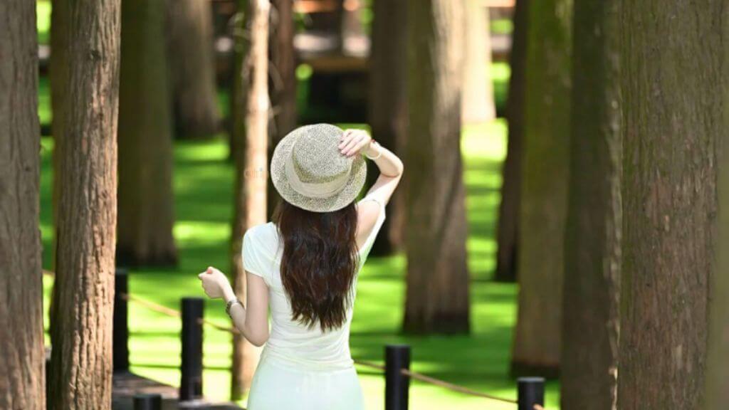 Khám phá đầm lầy Thanh Sơn nổi tiếng