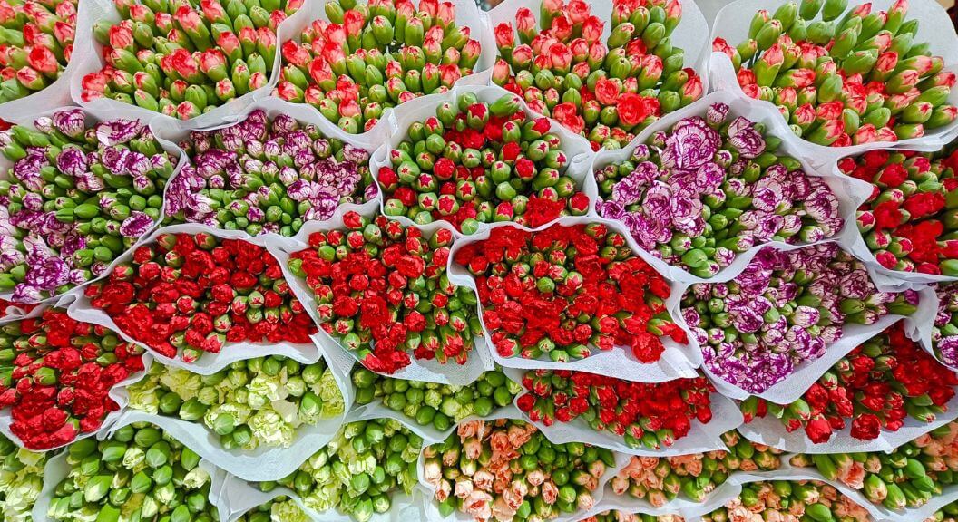 Chợ hoa Đấu Nam   thiên đường hoa lớn bậc nhất Trung Quốc