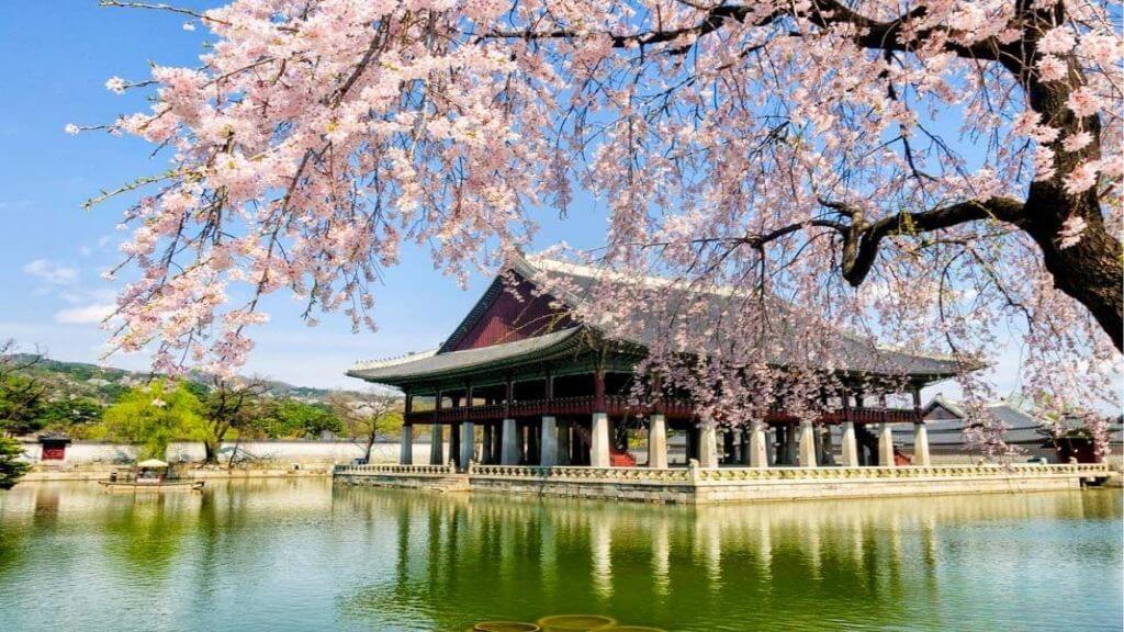 Cảnh xuân hữu tình tại Cung điện Gyeongbok