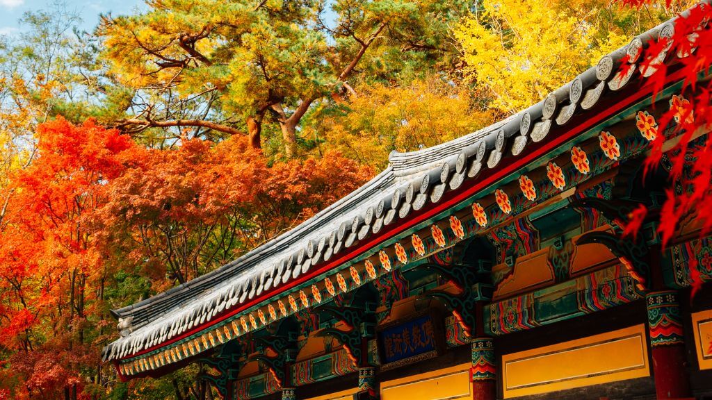 Tour Hàn Quốc 4N4Đ Seoul   Nami   Everland  Bay Sun Phú Quốc