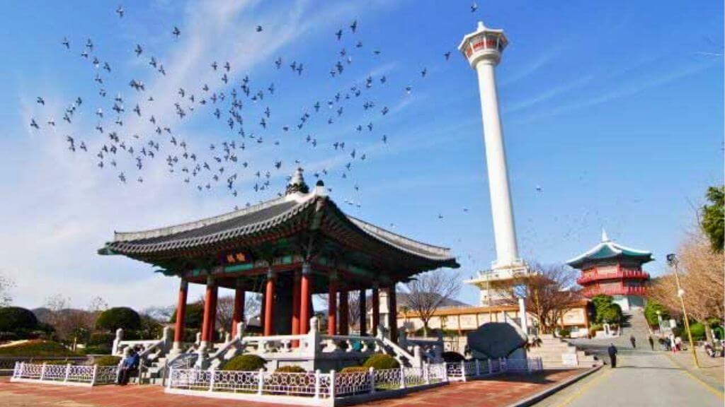 Chiêm ngưỡng cảnh quan và tháp Busan từ Yongdusan