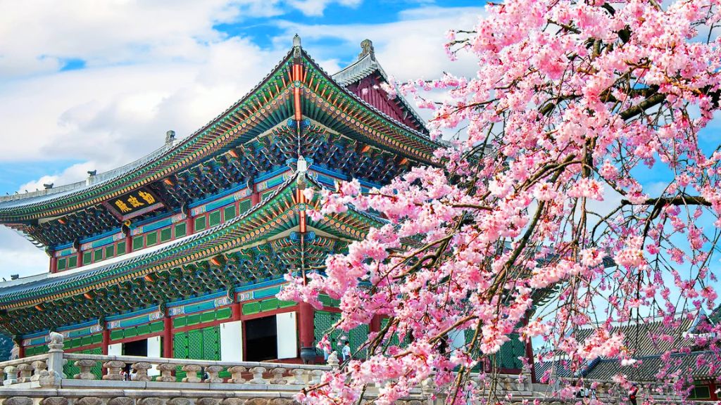 Tour du lịch Hàn Quốc mùa hoa anh đào 5N4Đ