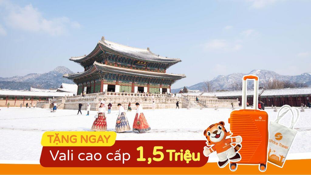 Tour Hàn Quốc Mùa Đông 2025 HCM   Seoul   Đảo Nami   Rừng Seoul 5N4Đ