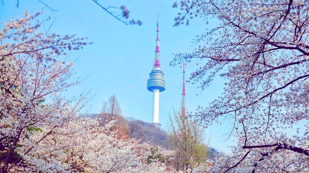 Tháp NamSan cực đẹp trong tour Hàn Quốc 5N4Đ mùa hoa anh đào