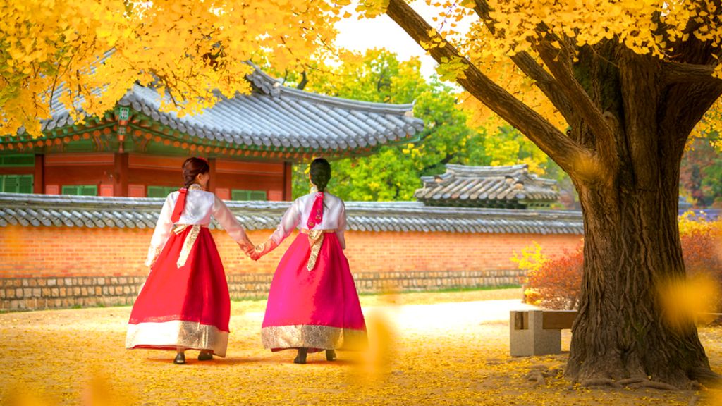 Tour du lịch Hàn Quốc mùa lá đỏ