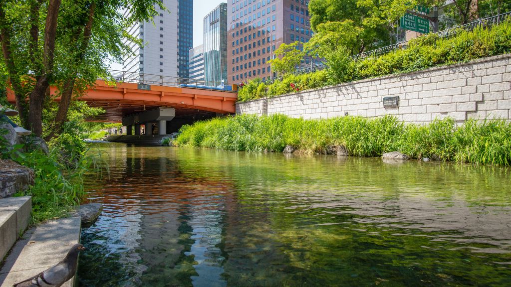 Sông Cheonggyecheon thơ mộng giữa lòng thủ đô