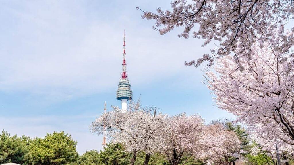 Tháp Namsan Seoul: Biểu tượng tình yêu vĩnh cửu xứ Hàn