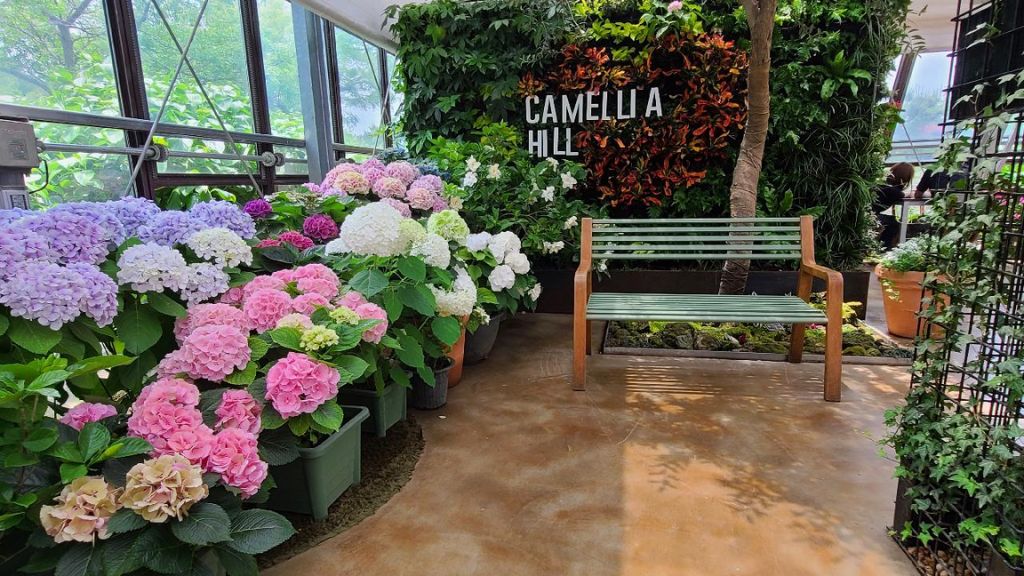 Camellia Hill có diện tích lên đến 20.000m2