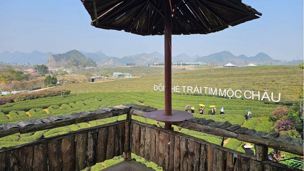 Cùng nghỉ ngơi và check in tại Mocha Hill