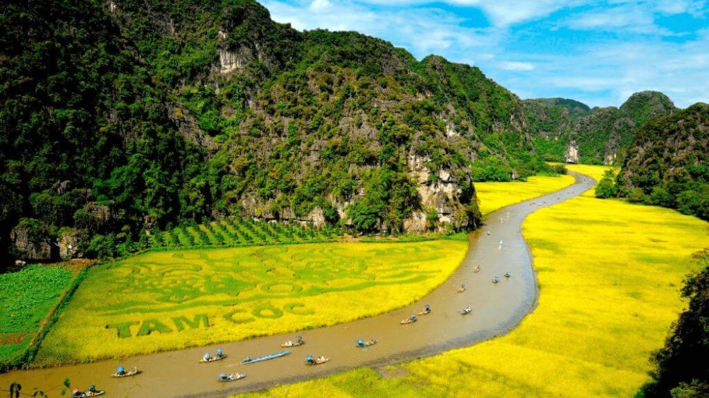 hấp dẫn du khách với dòng sông Ngô Đồng thơ mộng
