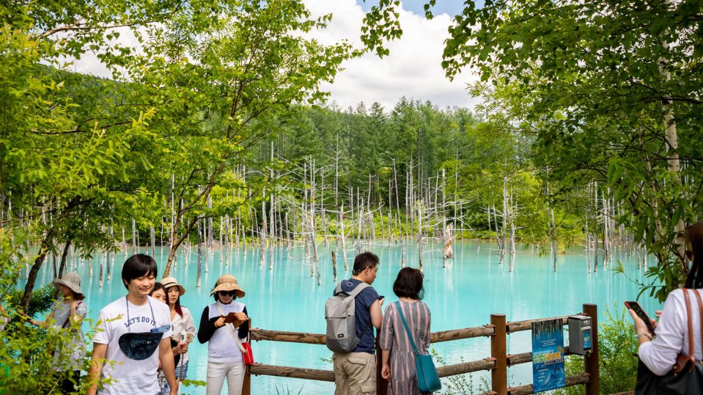 Tham quan hồ Blue Pond, khám phá hiện tượng quang hoc độc đáo