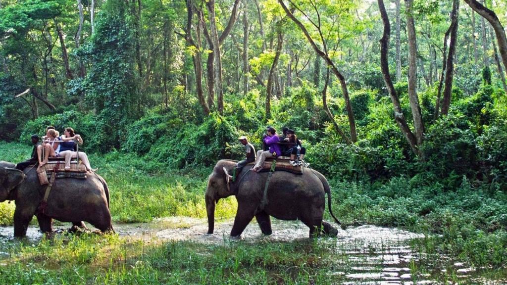 Khám phá Vườn Quốc Gia Chitwan trên lưng voi