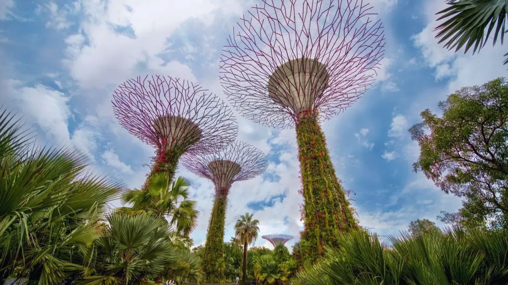 Khám phá Vườn thực vật Gardens by the Bay