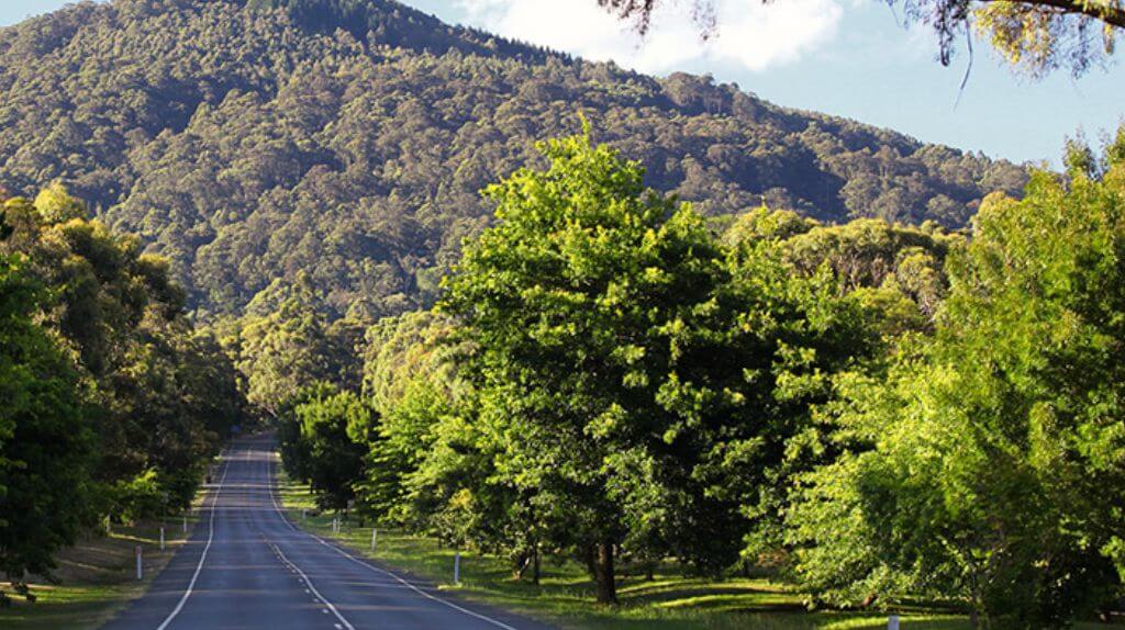 Cung đường đến với Mt Macedon