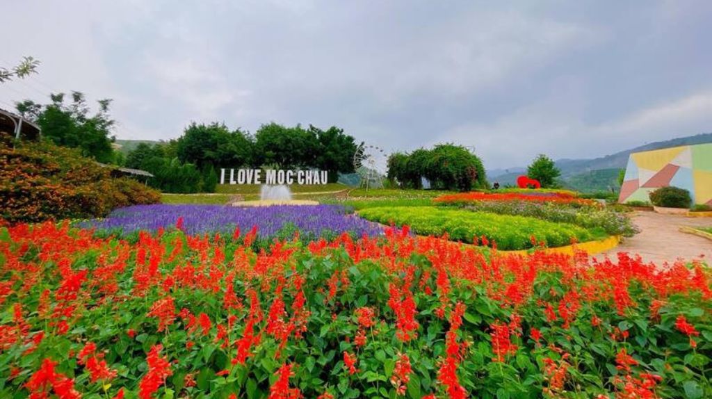 Du khách check in Tại vườn hoa HappyLand đầy thơ mộng