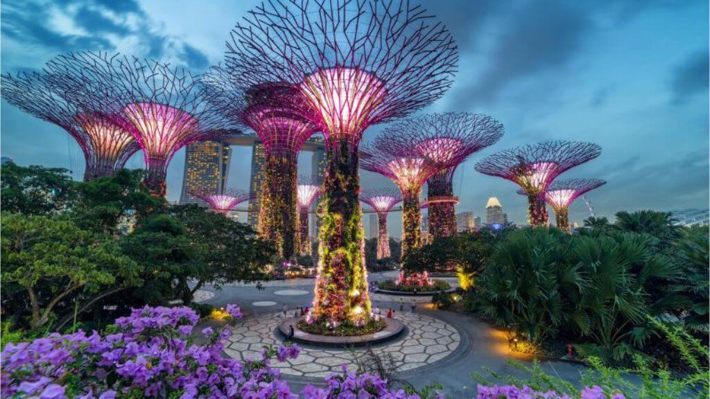 Gardens By The Bay – khu vườn sinh thái nổi tiếng với những “siêu cây” độc đáo của Singapore