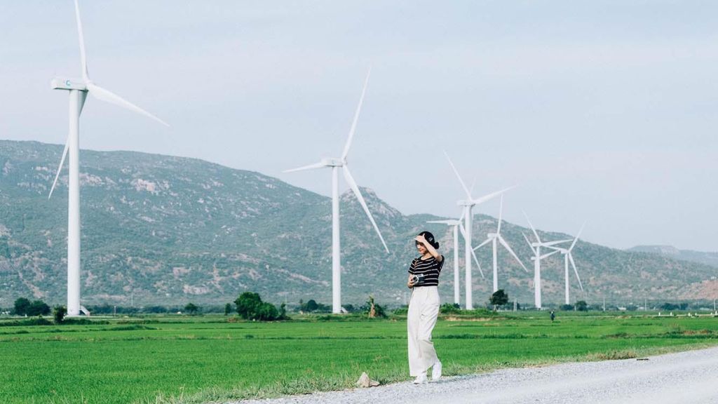 Tham quan công trình điện gió tại Ninh Thuận