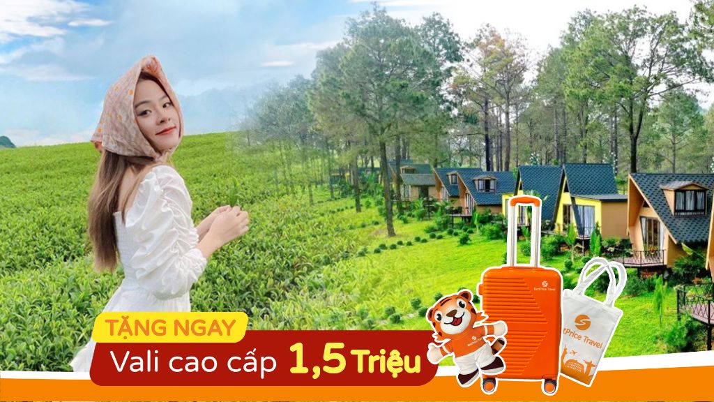 Tour Mộc Châu 2 ngày 1 đêm khởi hành hàng tuần