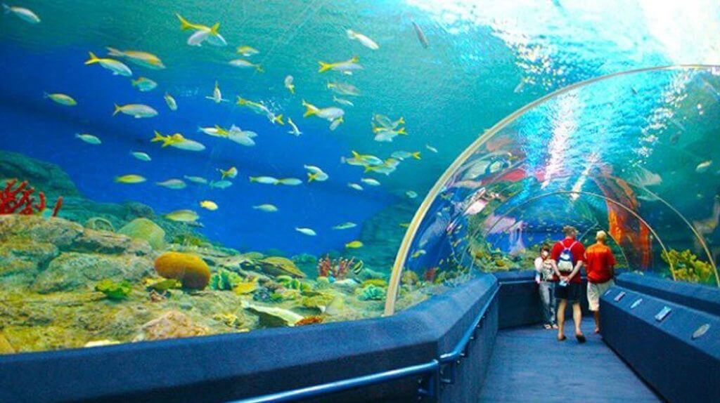 Một góc của Viện Hải Dương Học
