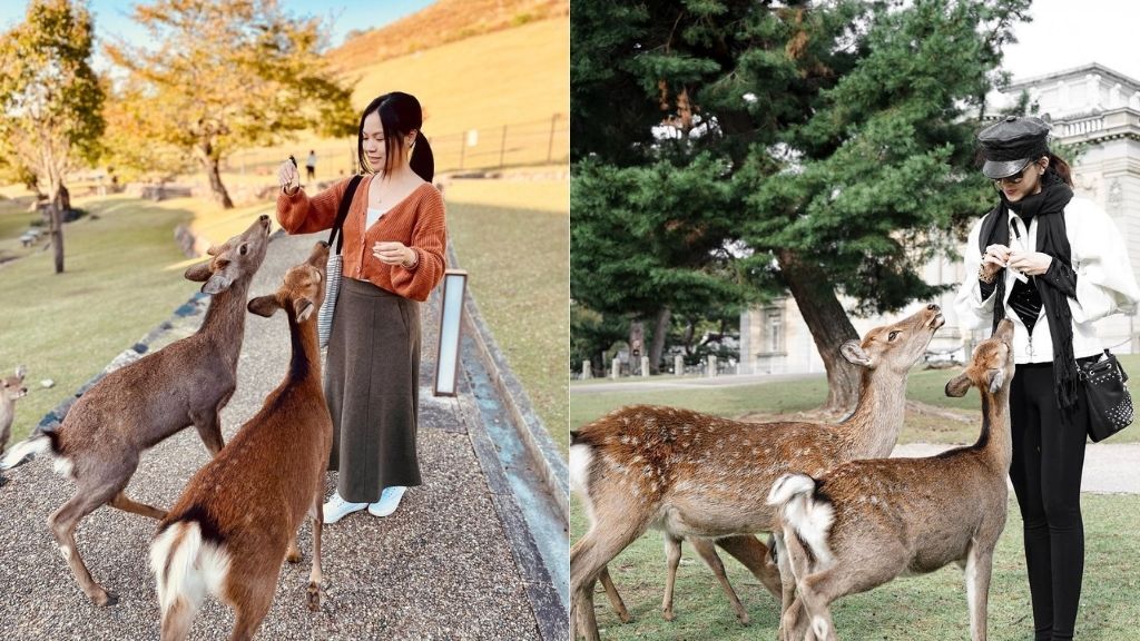 Check in công viên Nara (@aikinari)
