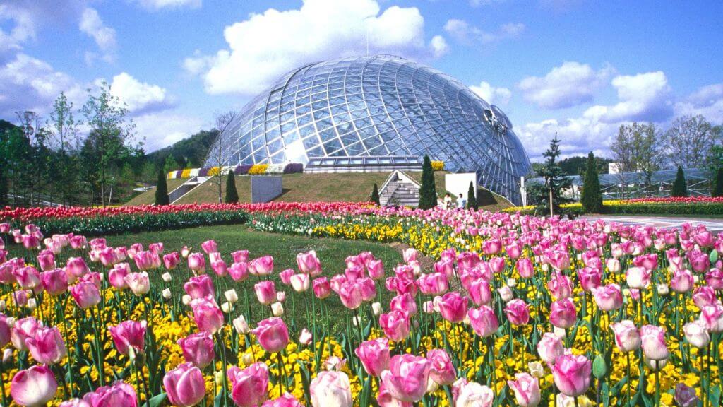 Tour Nhật Bản 30/4: Hà Nội - Shimane - Hiroshima 6 ngày 5 đêm