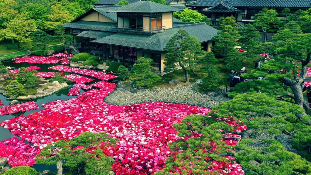 Vườn thực vật Yuushien - khu vườn rộng khoảng 40 000m² được xây dựng từ năm 1970