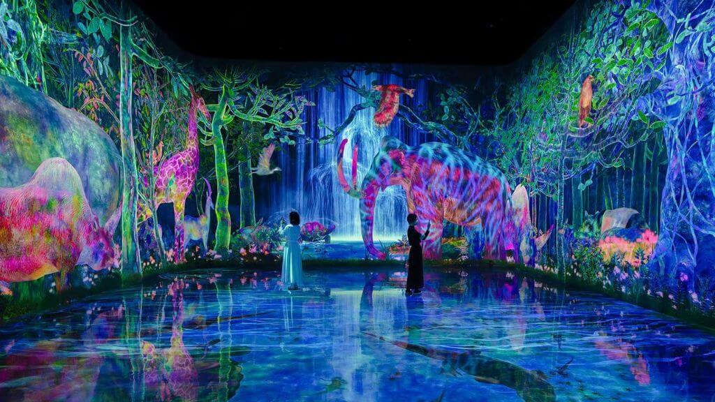 Khám phá teamLab Planets   bảo tàng nghệ thuật số tương tác nổi tiếng thế giới