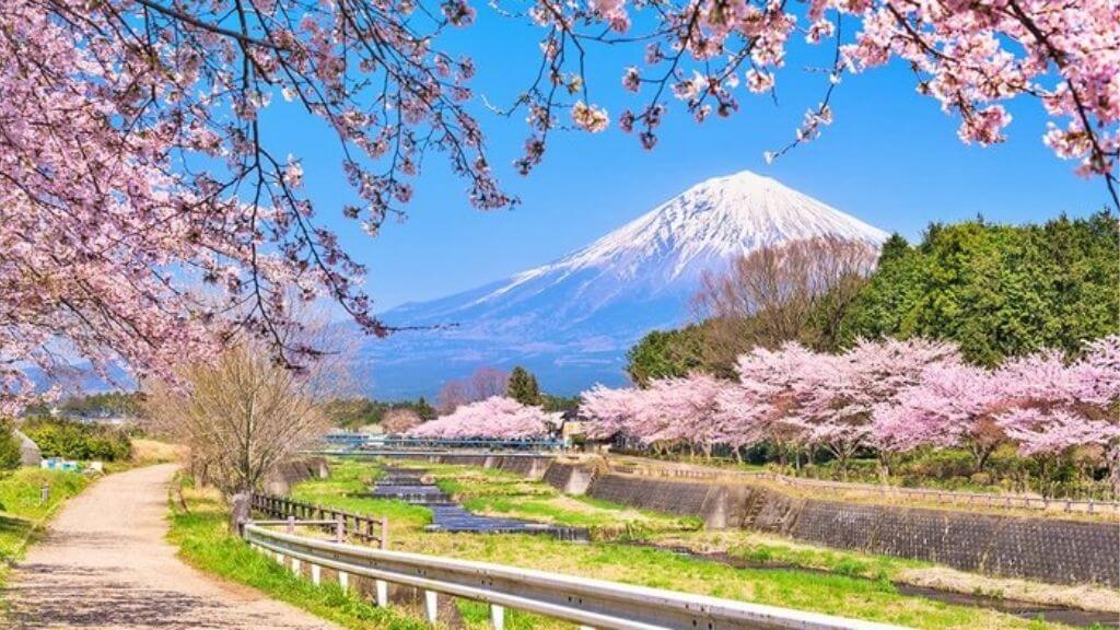 Tour Nhật Bản Tết Nguyên Đán 2026