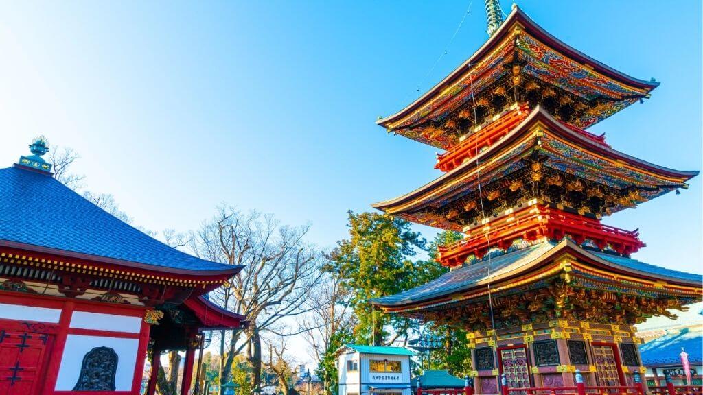 Hành trình bắt đầu từ Narita đầy thú vị