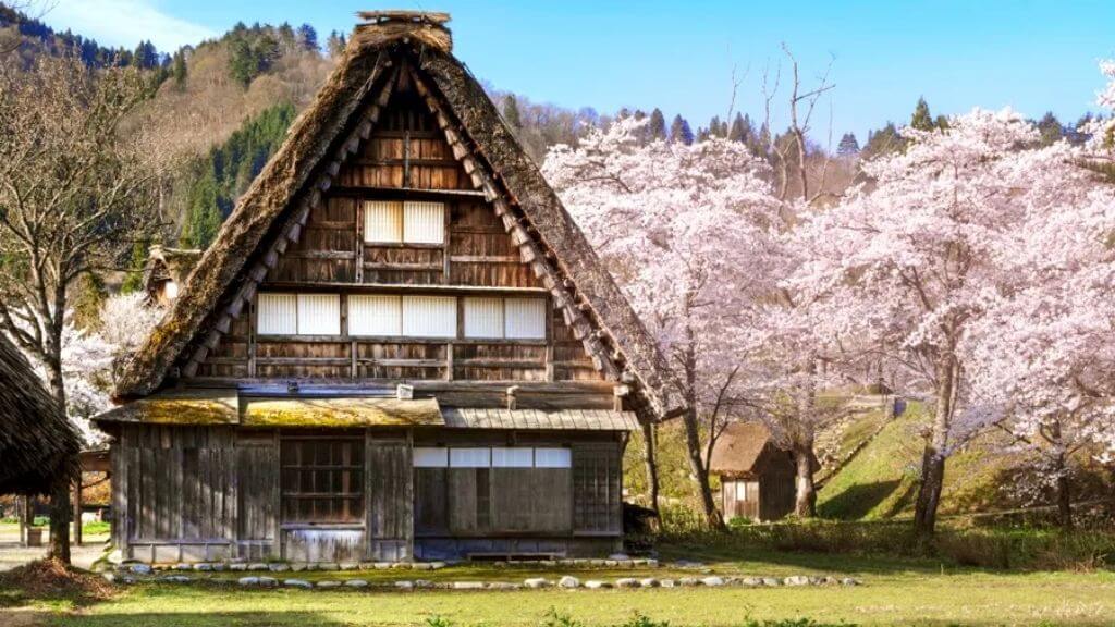 Làng cổ Shirakawago rực rỡ vào mùa xuân