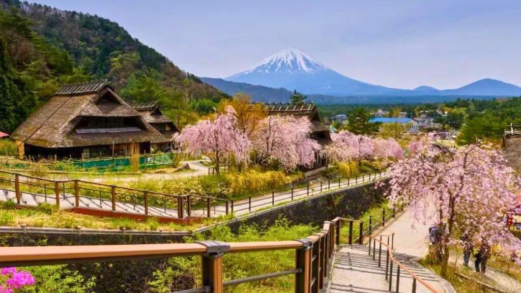 Vẻ đẹp thơ mộng của Làng cổ Oshino Hakkai