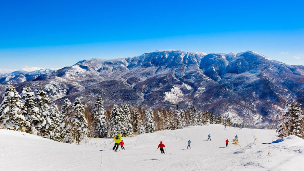 Đoàn trải nghiệm trượt tuyết tại Khu trượt tuyết Fujiten Snow Resort