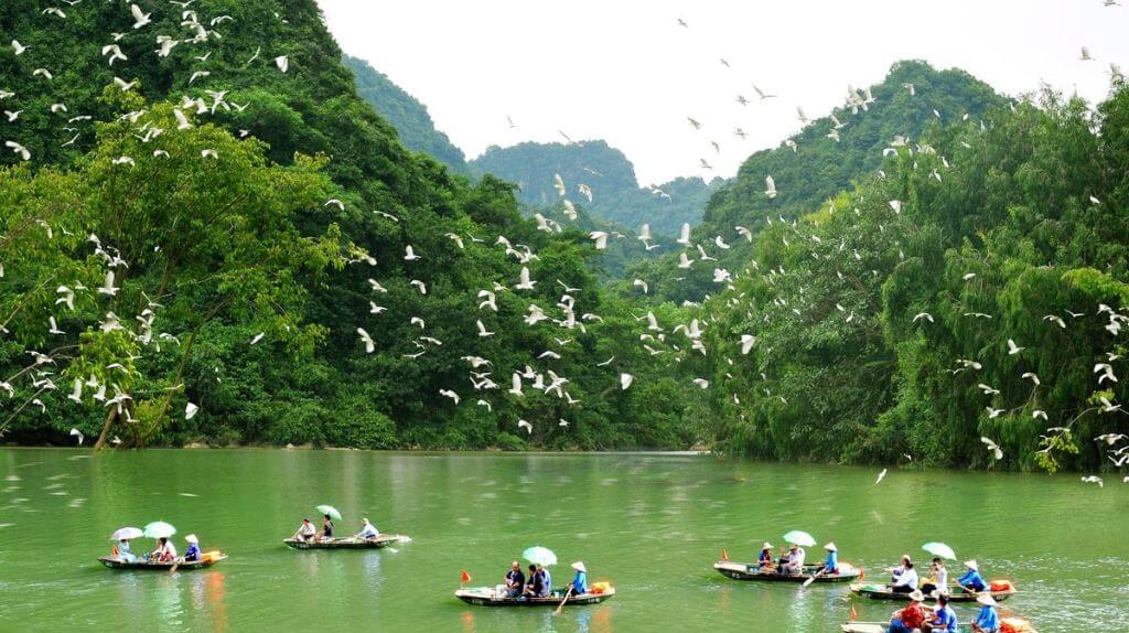 Vườn chim Thung Nham   Đây là nơi quý du khách tham quan và checkin rất nhiều