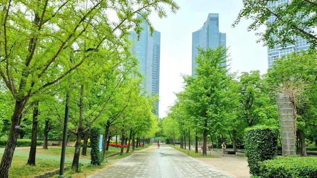 Seoul Forest Park  - công viên có quy mô lớn thứ 3 tại Seoul với diện tích lên đến 1 200 ha