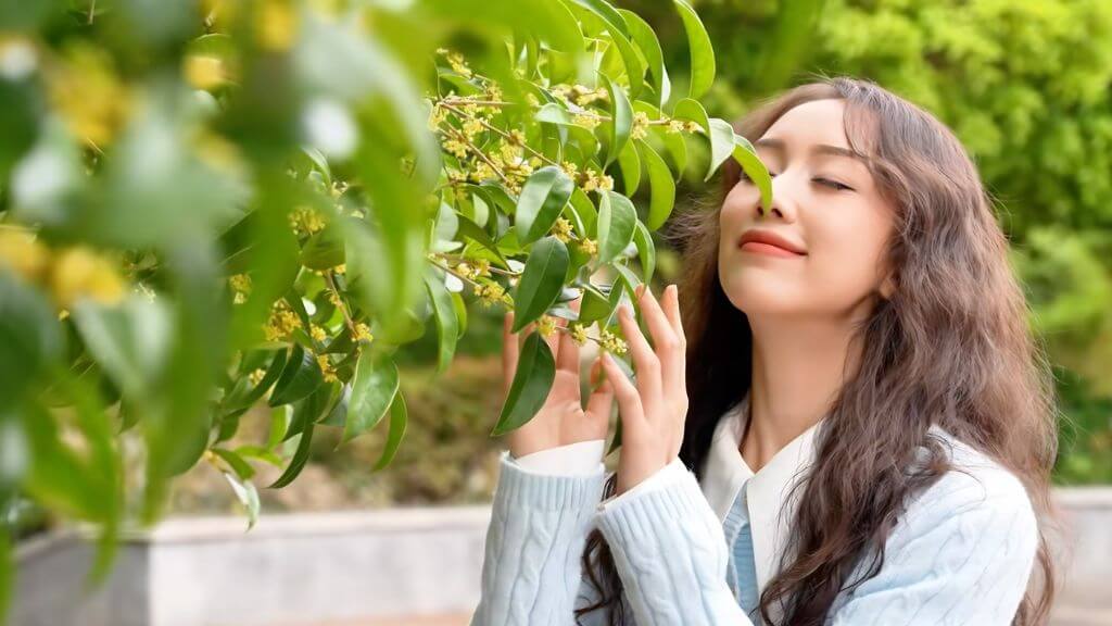 Quế Hoa Công Xã: không gian trải nghiệm hiện đại giữa Quế Lâm ngập tràn hoa quế.