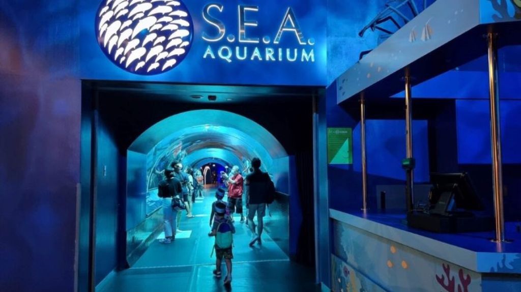 Khám phá đại dương thu nhỏ tại S E A Aquarium