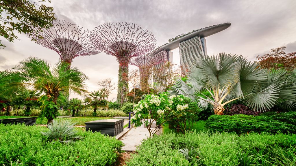 Đoàn tham quan Gardens by the Bay